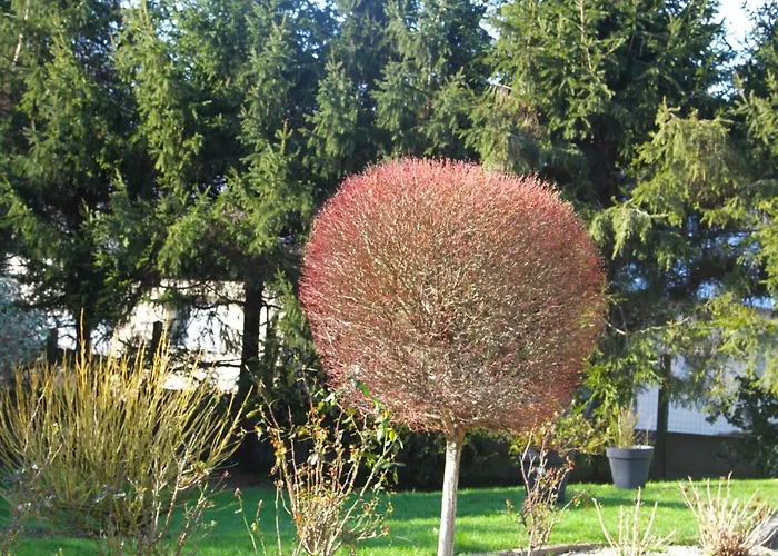 Maison Mama Neko 3* Pontorson