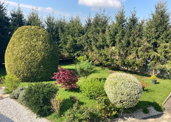 Maison Mama Neko Nocleg ze śniadaniem 3*