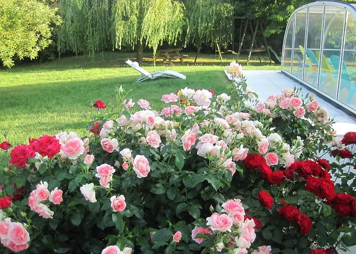 Maison Mama Neko Nocleg ze śniadaniem Pontorson